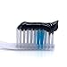 Travelmall Active Bamboo Charcoal Toothpaste Natural Fresh Teeth Whitening Scouring Black Toothpaste Health Mouthguard Fresher Breath (Black)