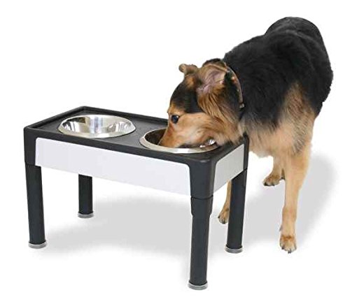 OurPets-Signature-Series-Elevated-Dog-Feeder