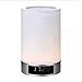 Produktbild Smart LED Stereo Night Light Lautsprecher, Bunte Atmosphäre Nachtlicht Lautsprecher Stereo-Subwoofer mit Intelligenter Touch-Steuerung Für Home-Nachttisch, Outdoor, Reisen