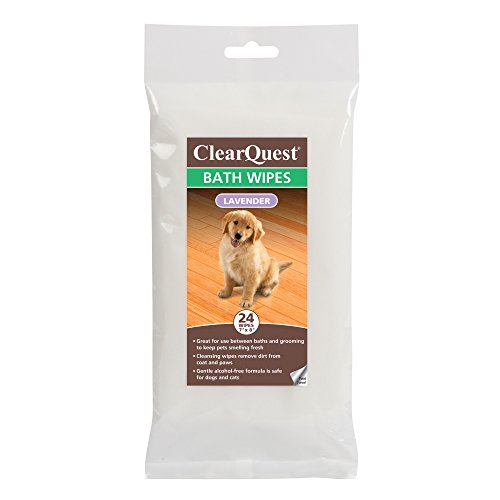 Clearquest-US6226-24-51-Bath-Wipe-24Pk-Bag-Lavender