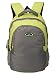 Cosmus Phoenix 28L Light Green & Light Grey Blue Laptop Backpack RS.599.00