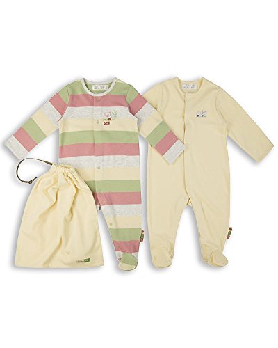The Essential One - 2 Pack Unisex Baby Sleepsuits - Pastel Star Stripe - 6-9 Months - ESS155