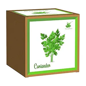 Sow and Grow Easy DIY Gardening Kit of Coriander Herb Dhaniya (Grow it Yourself) for Home and Kitchen Garden, Best Kids Birthday Return Gift
