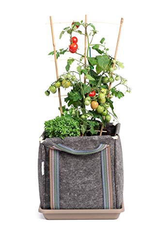 Saco Tomatero Mh (30x30x30cm) para huerto Urbano + Manual Agricultura Urbana Digital