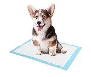 Pet Training Pee and Potty Pads with Quick Drying Surface and Absorbent Core/Suitable for Small/Large Breed Puppies/Pets-20 Count (60 X 90 cm) Pack of 2