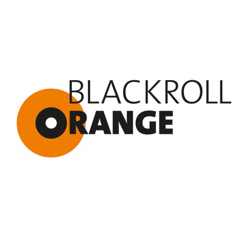 Blackroll Orange (Das Original) DIE Selbstmassagerolle – miniBAG-Set STANDARD mit miniBAG, Übungs-DVD, -Poster und -Booklet - 2