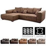 eckgarnitur mia Lieferumfang: Cavadore 503 - Ecksofa Mavericco mit Kontrastnaht in beige, davorstehend: Longchair links und Sofa 3-sitzig rechts / Inkl. 4 Rückenkissen (65 x 55 cm) und 3 Zierkissen (35 x 35 cm) im Polsterstoff / Nussbaumfarbene Holzfüße in Buche Antik