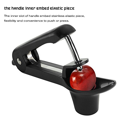 GWCLEO Kirsch und Oliven Pitter, Trauben und Cranberries Frucht Corer Pitter Küche Entferner Werkzeug - 2
