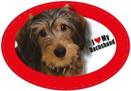 Instant Gifts International Oval Pet Magnet - Miniature Wire-Haired Dachshund