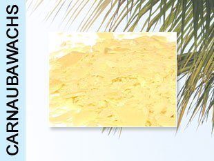 Preisvergleich Produktbild 39,80EUR / KG Carnaubawachs – Palmwachs 500g TYP: COATINGS24 / Politur Wax Karnuba Kanuba Canuba Wachs Carnuba-Wachs Schuhglanz Schuhcreme Hartglanzwachs Pfeifenwachs Autopolitur Autowax Autowachs / Farbe: Gelblich / 100 % natürlich und umweltfreundlich / gesundheitlich unbedenklich / frei von Duftstoffen / Medikamente / Kosmetik