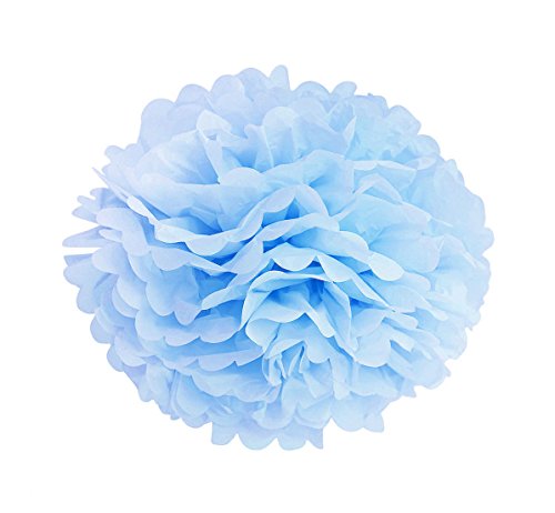 SUNBEAUTY 10er Set 20cm farbige Seidenpapier Blumen PomPoms Ball Party Geburtstag Feier Dekoration - 3