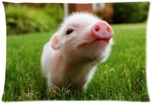 Home Use Cute Style Baby Pig Printed Custom Zippered Pillow Cover Standard Size 20*30 Inch Two Sides XZ-33