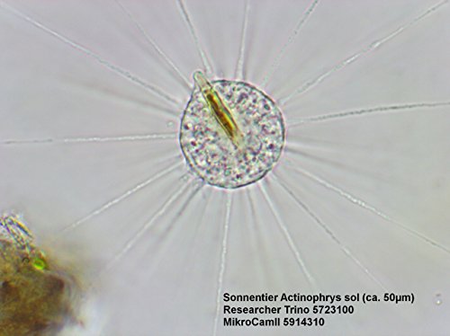 Bresser Researcher Trino 40-1000x Microscopio - Bresser