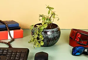 HINS Dark Green Black Pattern Metal Round Shape Flower Plant Pot For Indoor Plants (Dark Green Without Stand) Metal Pots For Indoor Plants I Elevated Garden Planter I Raised Planter I Desk Plant I Raised Planter Box I Ascent Homes Metal Planter I Raised Planter Box With Legs I Brass Pots For Indoor Plants I Golden Planter I Mid Century Plant Stand I Brass Planters For Indoor Plants I Indoor Plant Stand For Living Room I Metal Planters Pot For Indoor Plants desi