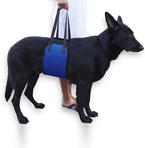 Dog Lift Harness Support Sling Helps Dogs With Weak Front or Rear Legs Stand Up Walk Get Into Cars Climb Stairs. (blue)