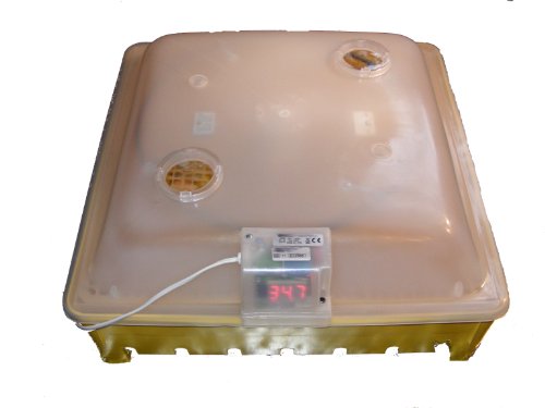 Motorbrüter direkt vom Hersteller Campo24 G ® Incubator/Inkubator/Brüter/Brutmaschine/Brutgerät/Flächenbrüter mit Umluftmotor - 2