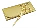 Professional Golden Hairdressing Scissors 5.5" (14 cm) + Matching Presentation Case