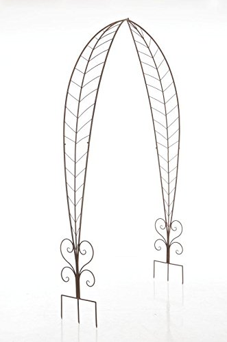 CLP Rosenbogen ELLEN, Metall, pulverbeschichtet, Höhe 245 cm, Größe 160 cm x 35 cm antik braun - 2