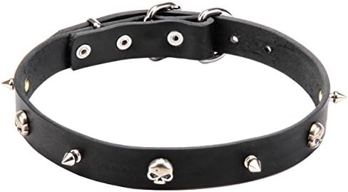 20 inch Brown Leather Dog Collar "Pirate" with Nickel Plated Spikes and Skulls - 1 inch (25 mm) wide