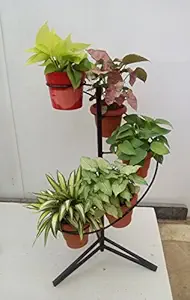 CAPPL Spiral Pot Stand (Ring)