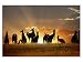 Produktbild kunst-discounter Australien Kangaroos Leinwandbilder auf Keilrahmen A05949 Wandbild Poster 150 x 100 cm