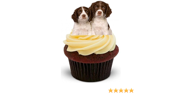 springer spaniel cake topper