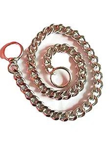 RvPaws Diamond Cut Chrome Plated Steel Choke Chain for Dogs (Large) - 30 Inch with 2 Metal End Circles for Dog Tags