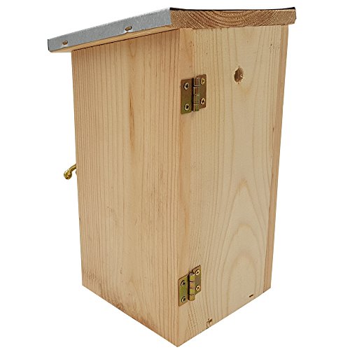 Nistkasten 30 x 14 x 12 (H x T x B) aus naturbelassenem Kiefernholz für kleine Vögel, mit seitlicher Öffnung, Plexiglas und verzinktem Metalldach - 6