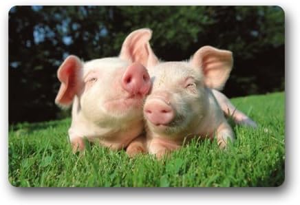 Two Lovely Pig Sleeping In The Grass Rectangular Welcome Doormat