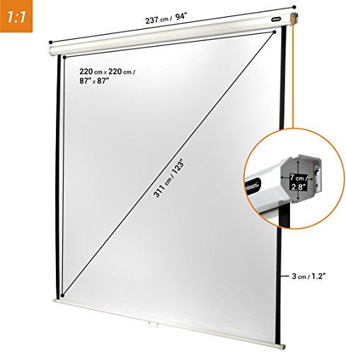 celexon pantalla manual extensible para escuela, proyección, presentación y cine en casa mural básica Economy - 220 x 220 cm - 1:1 - Gain 1,0