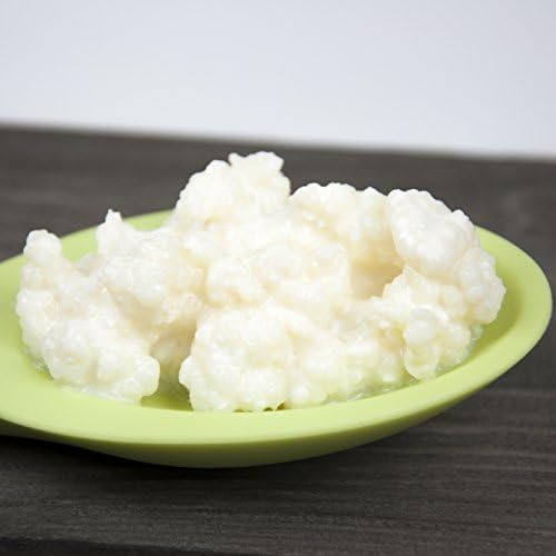 Milk Kefir Grains - Live Organically Grown