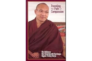 Traveling the Path of Compassion: A Commentary on the Thirty-Seven Practices of a Bodhisattva: 19