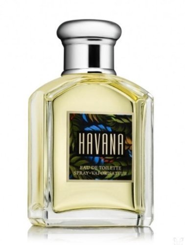 Aramis Havana 100ml EDT Spray