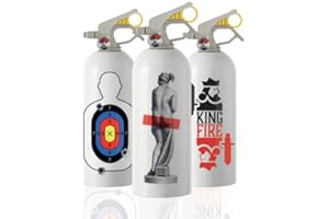 EXTINGUA Estintore Casa Omologato ABF 1 kg Estintore Schiuma Presa Antipanico Regalo Uomo Donna per Uso Domestico, Cucina, Auto, Barca, Mini Estintore per Interni, 1 pz (UNCENSORED)