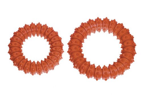 Karlie-Boomer-Rubber-Aqua-Ring