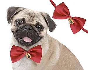 DreamAuro Adjustable Neck Bow Cum Necktie for Dog/Puppy/Cat/Kitten (Red)