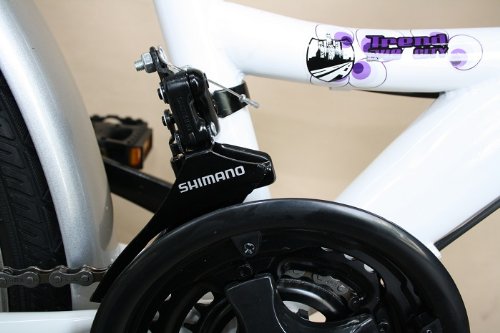 26 Zoll Fahrrad 18 Gang Shimano Kettenschaltung StVZO Lila mit ALUFELGEN - 3