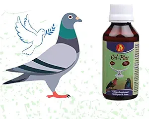 Pet Care International (PCI) Cal Plus for Essential Calcium to Healthy Bone of Pigeon & Dove Healthcare (100ml)