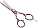 Hairdressing Scissors Set - Barber Hair Scissors 5.5 inch (13.97cm), Beautiful Hair Scissors