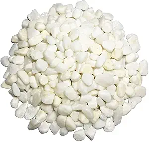 Ercole? White Pebbles Decorative Ornamental River Rocks Tumbled Stones for Landscaping Home Decor Crafts Garden (White, 1 Kg)