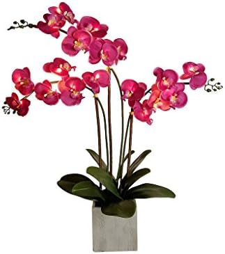 Homeseasons LED Lighted Artificial Triple-Stem Phalaenopsis Orchid Arrangement （White）