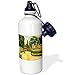 Price comparison product image qidushop Image Of Cezanne Painting Bord Route Landscape Office Work Yoga Bike Camping Sports Water Bottle Present 21oz