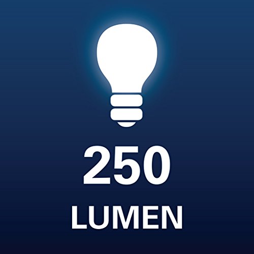 Berner LED-Taschenlampe Werkstattlampe Pocket Delux Bright ECO in den Farben Rot, Orange, Gelb, Grün oder klassisch Blau, 1 Stk. (Blau) - 5