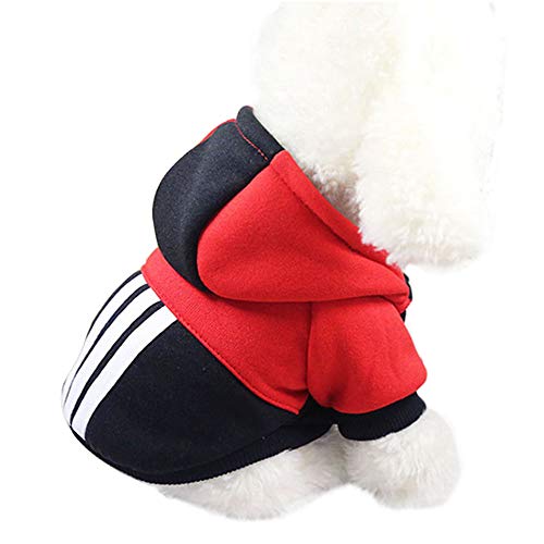 ZZQ Pet Morbido Inverno Caldo Pet Dog Clothes Sport Felpe con Cappuccio per Cani di Piccola Taglia Chihuahua Pug Bulldog Francese Abbigliamento Puppy Dog Coat Jacket,1,XL