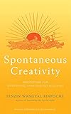 Spontaneous Creativity: Meditations for Manifesting Your Positive Qualities (English Edition) by 