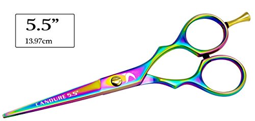 CANDURE® Professionell Haarscheren Set Mikroverzahnt Effilierschere Modellierschere Friseur Scheren Set, friseurscheren – Haarschneideschere – Friseurschere set – 5,5“ (13,97cm), Schwarz Set - 5