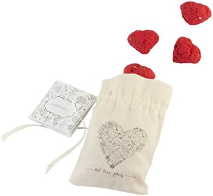 Paperblooms gift set with seed heart spawn set in a cotton bag – 10 seed bombs as a magical idea for decoration or an environmentally friendly present for birthdays, weddings or Mother’s Day, in red