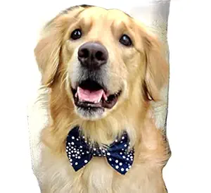 For The Fur Kids Winter Starry Night Dog Bow Tie with Adjustable Strap (Blue)