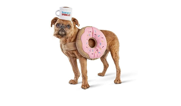 dog donut
