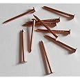 DEVAMA THE DIVINE Copper Nails for Vastu Pure Copper Nail Tamba keel tambe ki Kil - Set of 11 Coppper Nails for Vastu Dosch Correction Pooja and Positive Energy